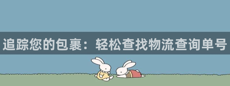 28圈违法吗
