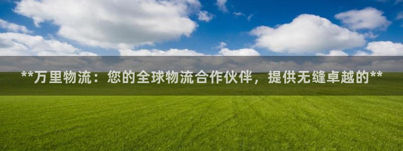 28圈怎么下载不了：**万里物流：您