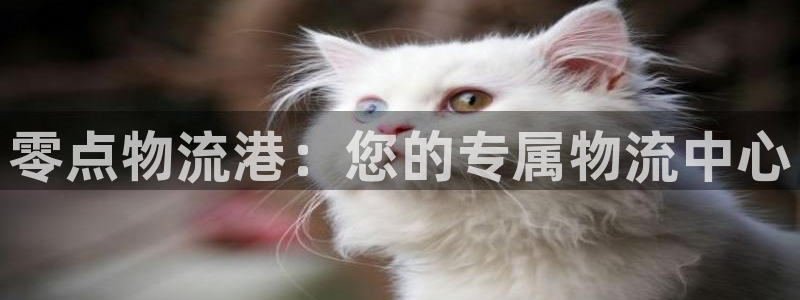 28圈是正规平台吗