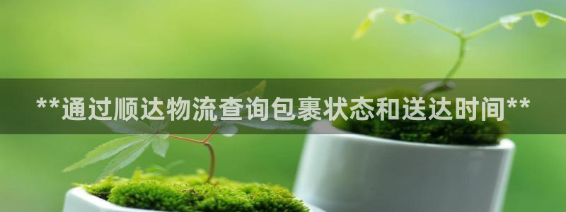 28圈游戏官网版：**通过顺达物流查