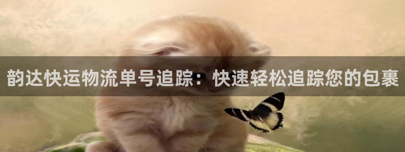 28圈链接来一个：韵达快运物流单号追