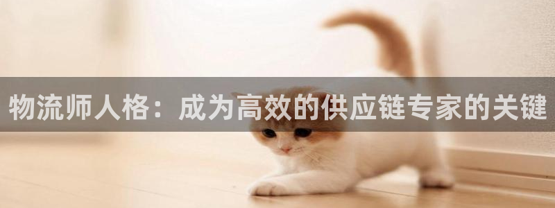 28圈技巧
