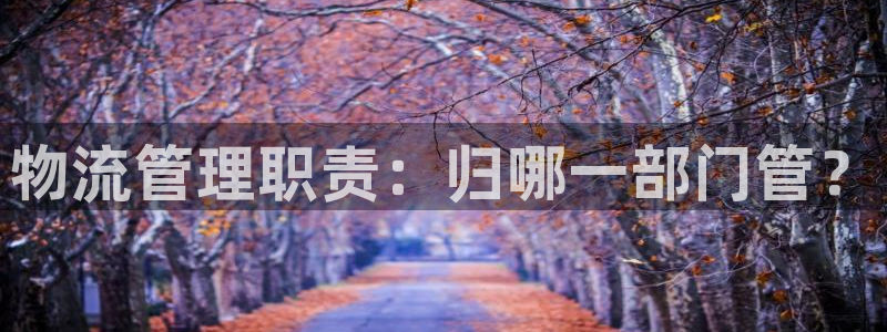 28圈.ccmpcios：物流管理职