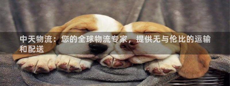 28圈模拟器在线使用
