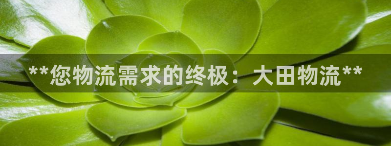 28圈系统自动保护