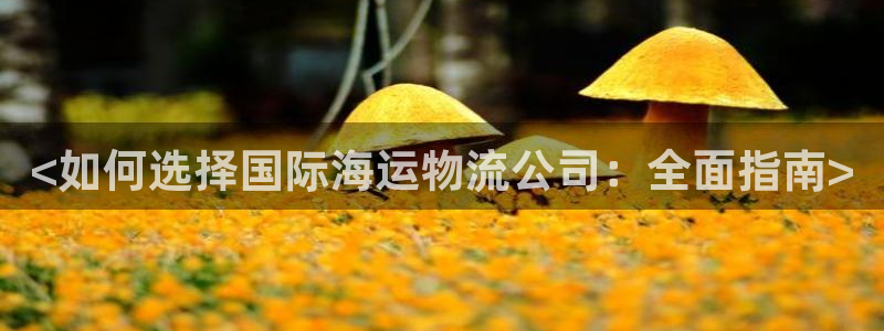28圈为什么没有赢过一次：<如何选择