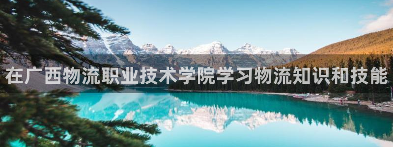 28圈ip被限制怎么解决：在广西物流