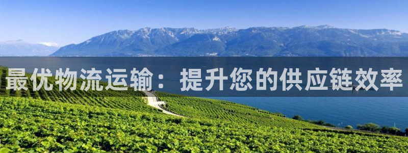 28圈app赢了500万：最优物流运