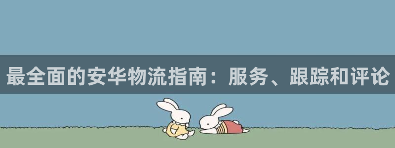 28圈p扣除：最全面的安华物流指南：