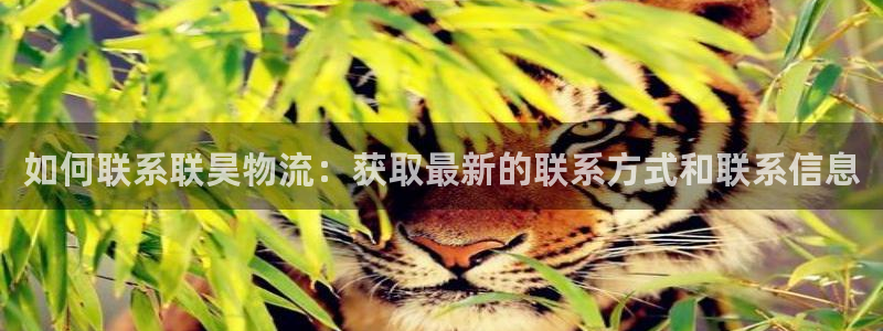 28圈官方：如何联系联昊物流：获取最