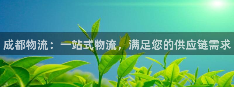 28圈注册网站链接：成都物流：一站式