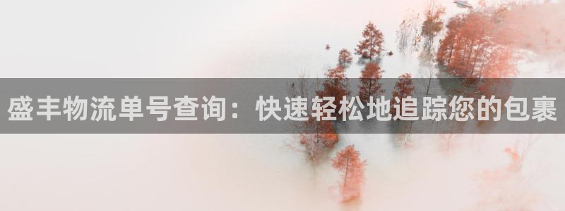 28圈p扣除是什么意思：盛丰物流单号