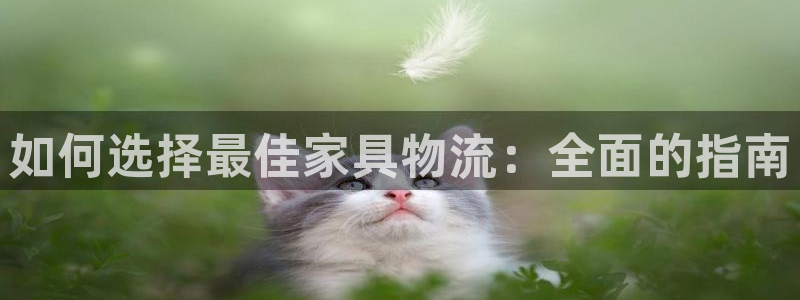 28圈麻将胡了：如何选择最佳家具物流