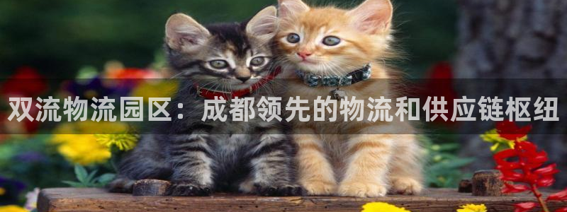 28圈电子游戏：双流物流园区：成都领