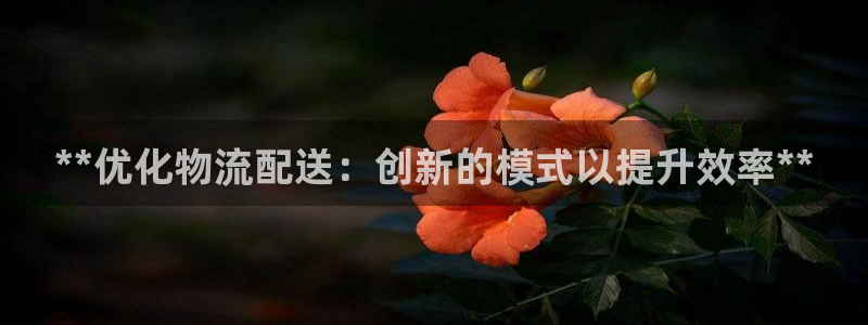 28圈官网版所有版本