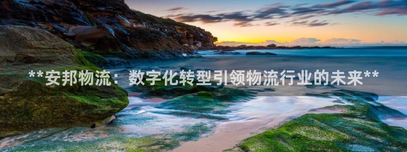 28圈pg麻将胡了：**安邦物流：数