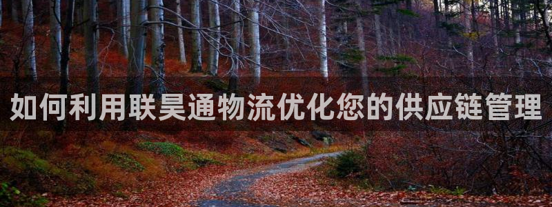 28圈反水什么时候到：如何利用联昊通