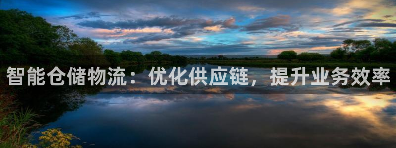28圈ip被限制怎么解决：智能仓储物