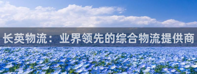 28圈怎么注册账号：长英物流：业界领