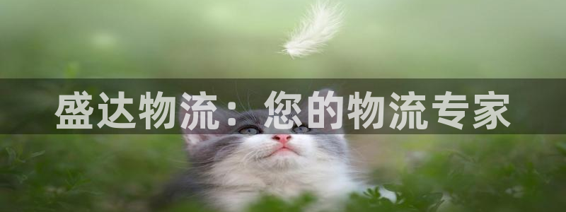 28圈娱乐官网网页：盛达物流：您的物