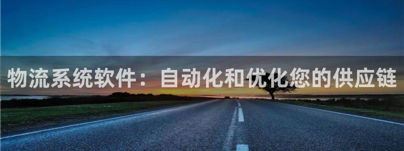28圈提现不到账：物流系统软件：自动