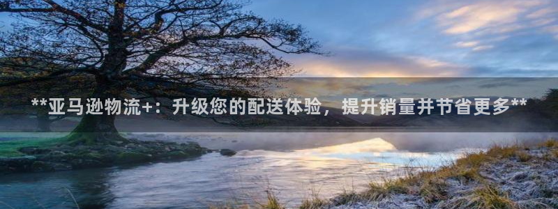28圈返水怎么算的：**亚马逊物流+