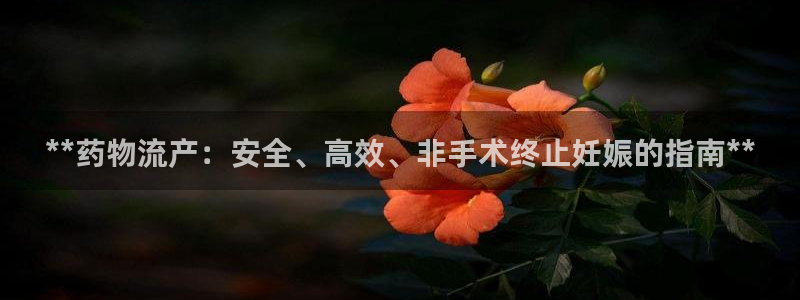 28圈加拿大：**药物流产：安全、高