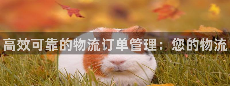 28圈注册限制怎么解除：高效可靠的物