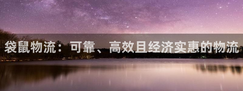 28圈犯法吗：袋鼠物流：可靠、高效且