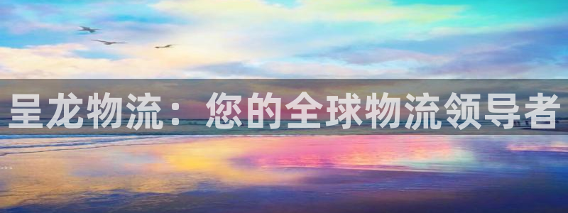 28圈注册网页：呈龙物流：您的全球物