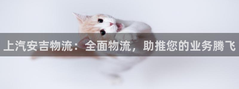 28圈技巧：上汽安吉物流：全面物流，
