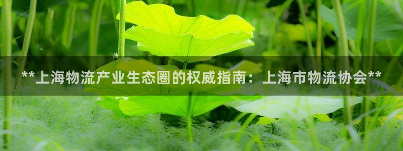 28圈注册官网：**上海物流产业生态