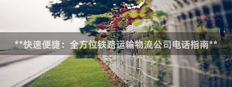 28圈加拿大开奖：**快速便捷：全方