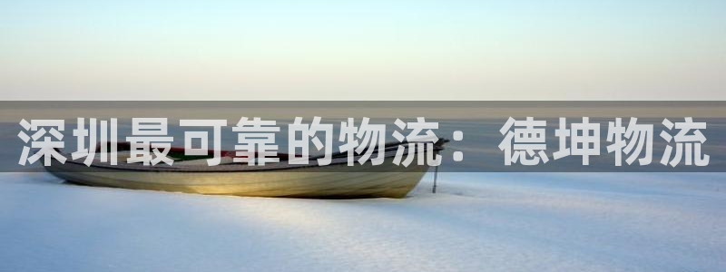 28圈注册条件：深圳最可靠的物流：德