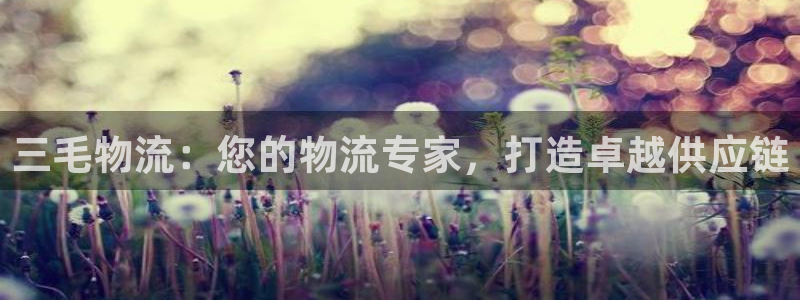 28圈注册网页版：三毛物流：您的物流