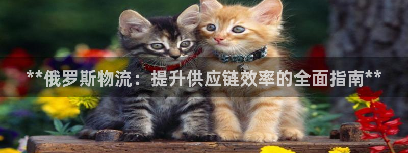 28圈平台注册：**俄罗斯物流：提升