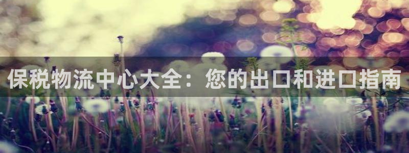28圈.ccmpc预测：保税物流中心