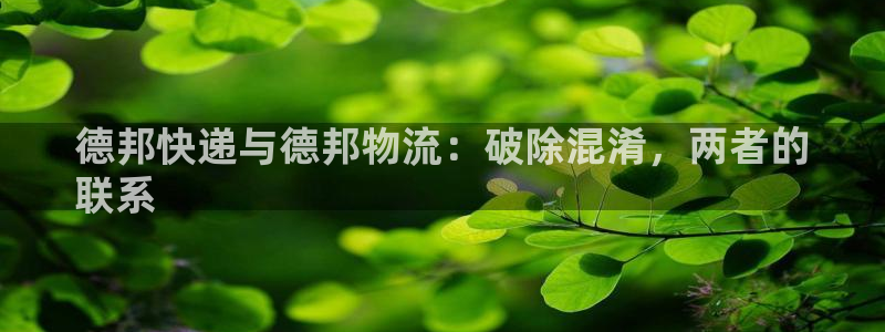 28圈玩法：德邦快递与德邦物流：破除