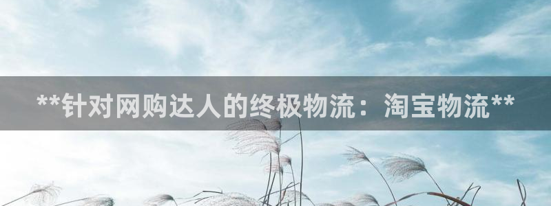28圈怎么申请代理：**针对网购达人