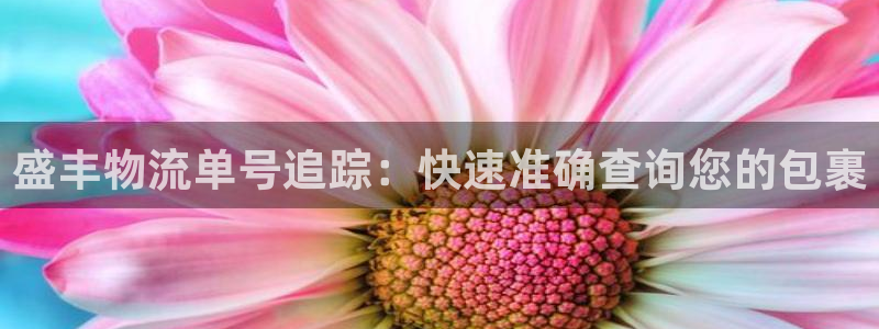 28圈初始密码在哪里修改：盛丰物流单