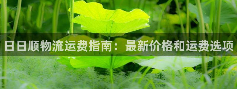 28圈充值金额随便