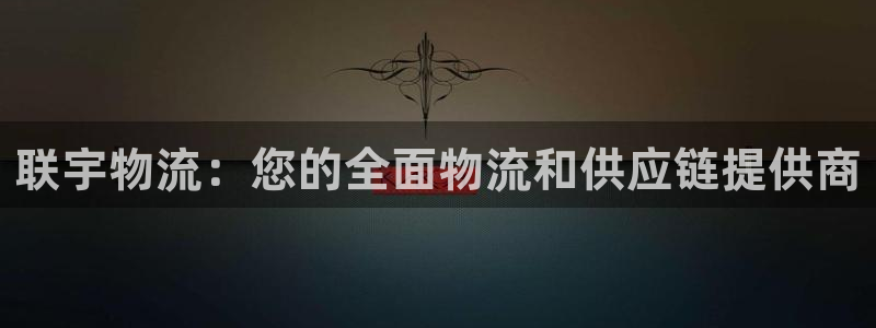 28圈辅助：联宇物流：您的全面物流和