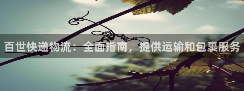 28圈游戏最新版：百世快递物流：全面