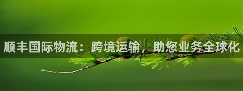 28圈登录用户名登录不上：顺丰国际物