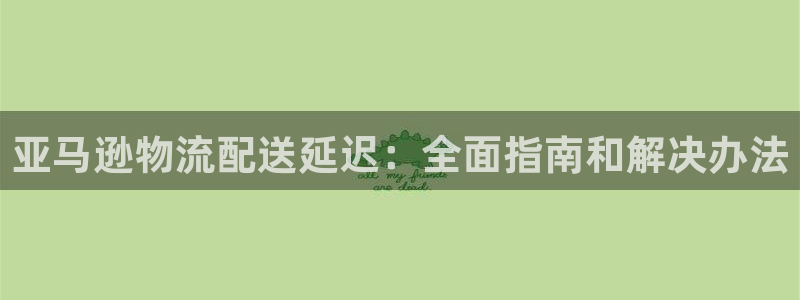 28圈模拟器下载：亚马逊物流配送延迟