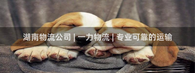 28圈官网开奖结果预测查询：湖南物流