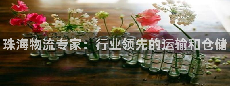 28圈连输10天：珠海物流专家：行业