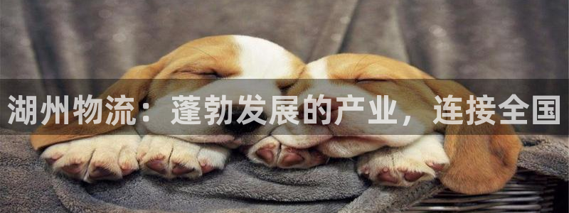 28圈赌博软件正规吗：湖州物流：蓬勃