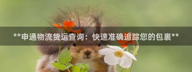 28圈怎么注册：**申通物流货运查询