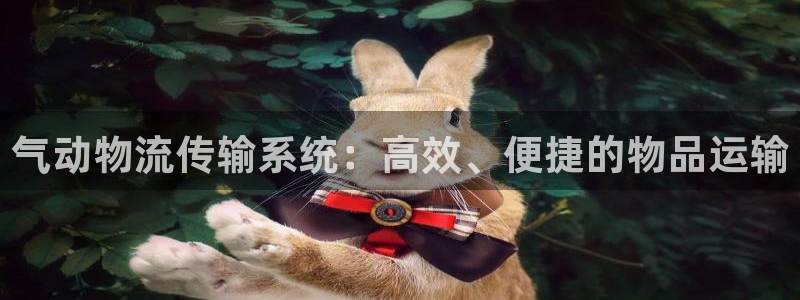 28圈口内径是多大：气动物流传输系统